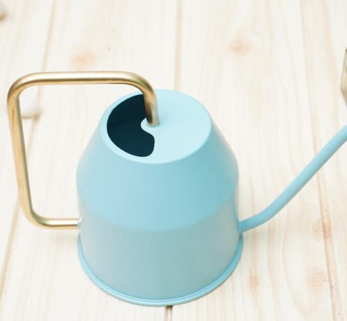 Gold Dust Watering Can for Plants, Gardening Tools for Watering, Terrace Garden Accessories (Sky Blue (0.9 Lt))
