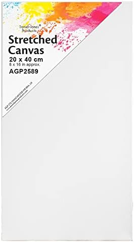 Artist Canvas Art Board Plain Painting Stretched Framed White Large Small Blank (30cm x 60cm)