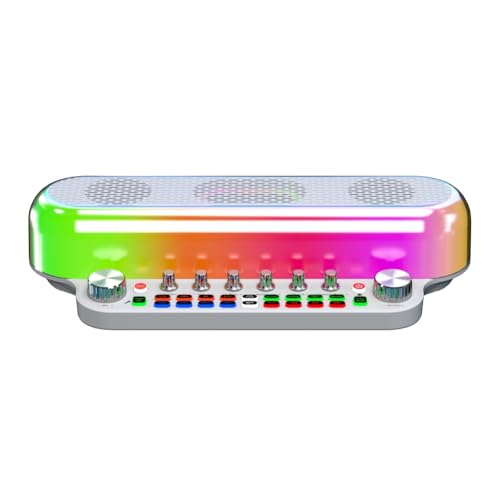 Haut-Parleur de Karaoké Portable Tout-en-1 Carte Son Intégrée Deux Micros sans Fil FamilyKTV
