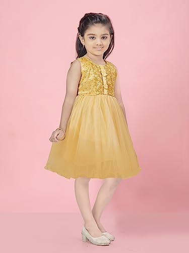 Image of Aarika Girls Fawn Color Net Frock