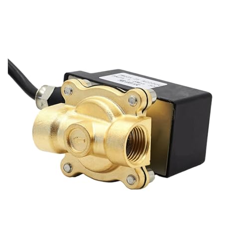 Électrovanne DN20 vanne régulation eau 220V 24V