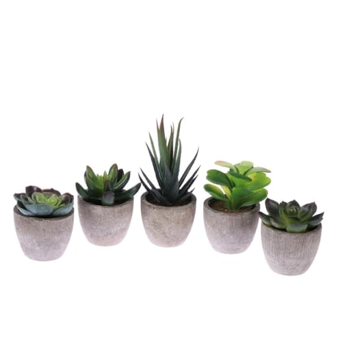Ciieeo Juego De 5 Plantas Suculentas Artificiales Realistas De Bonsái Mini Suculentas Falsas Decoración Fácil para Familiares Y