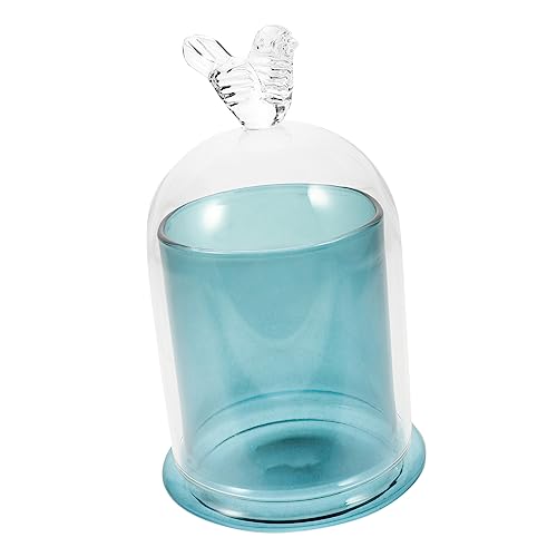 ULDIGI Decorative Glass Cloche Candle Cover for Home Holder for Candle Craft Projects
