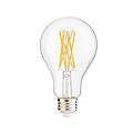 Goodlite 3000k Warm White G-20011 Filament 100 Watt Equivalent, A21 Edison Style 1600 Lumens, Medium Base E26 LED Light Bulb Dimmable, 1 Count (Pack of 1)