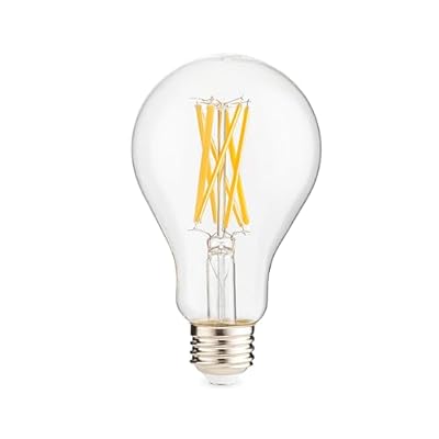 Goodlite 3000k Warm White G-20011 Filament 100 Watt Equivalent, A21 Edison Style 1600 Lumens, Medium Base E26 LED Light Bulb Dimmable, 1 Count (Pack of 1)