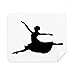 Ballet Jumping Performance Dancer Cleaning Cloth Screen Cleaner 2pcs Suede Fabric
