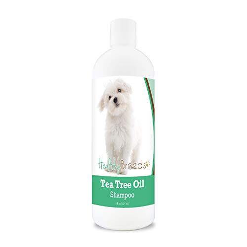 Healthy Breeds Maltese Tea