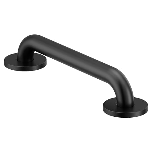 Moen Matte Black 12-Inch Stainless Steel Bath Safety Grab Bar with Concealed Screws, R8712BL