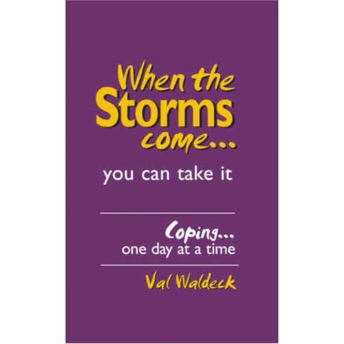 When The Storms Come...You Can Take It: by Val Waldeck episode artwork