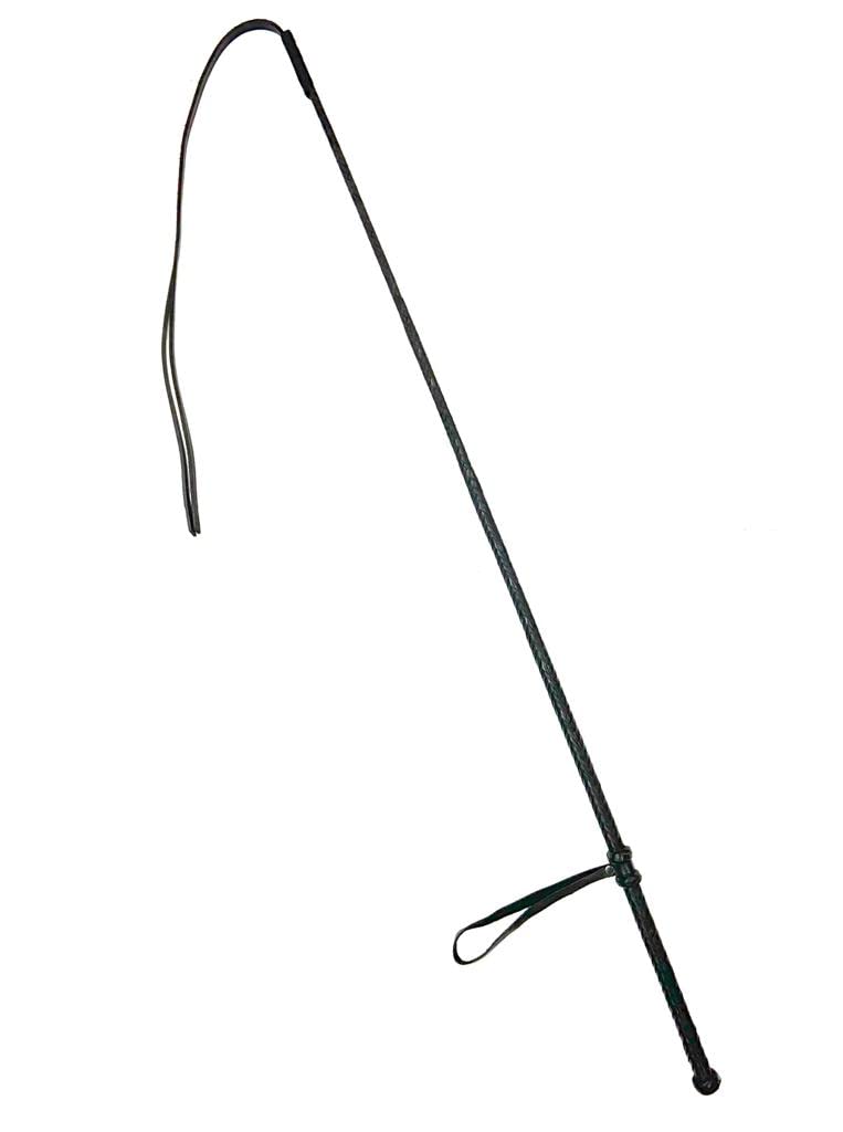 PETS TRIANGLE 40" Long Horse Training Stick with Genuine Leather Grip Handles and Leather Popper (Gray) (B0BRQH487W) Amazon Price History, Amazon Price Tracker