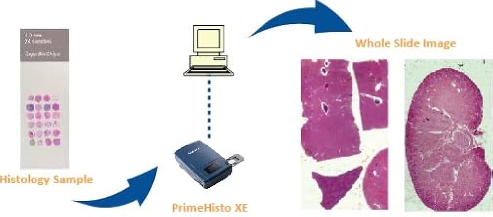 高精度スライドスキャナー　NFS-310 顕微鏡スライドスキャナー - NanoZoomer® S60v2MD - Hamamatsu