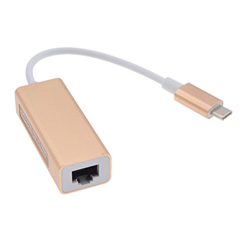 (ライチ) Lychee USB-C Type-C to RJ-45 有線LANアダプター 軽量