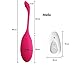 Lustfactor JOY | DeLuxe Vibro-Ei für Sie aus Silikon | Kabellose Funk Fernbedienung | Vibroei, Vibratorei, Vibrator, Eivibrator | Für die vaginale klitorale Stimulation geeignet | USB-Aufladbar