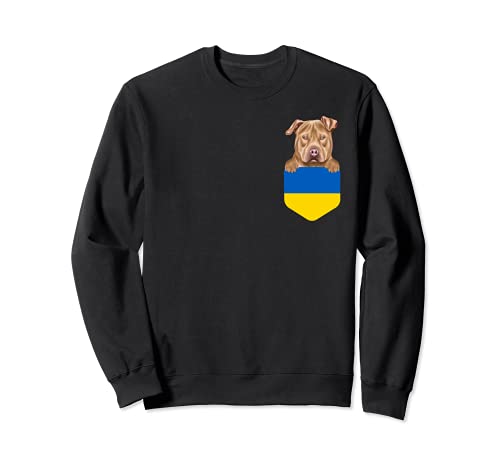 Ukraine Flag Usa Staffordshire Terrier Dog In Pocket Sweatshirt, Black
