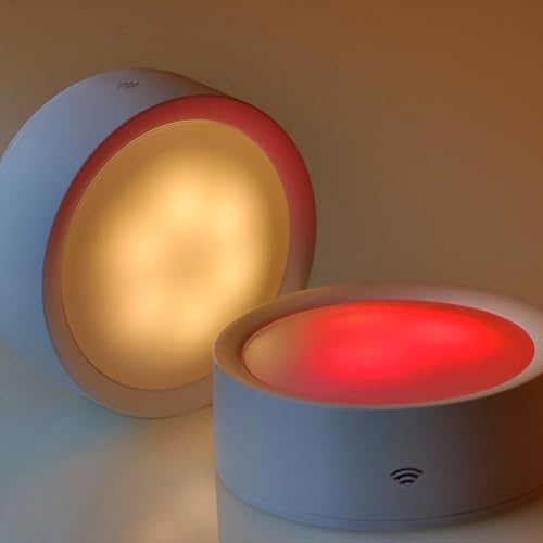 da LIGHT Juego de 2 luces LED para debajo de la encimera de cocina, maceta de pared RGBW con control remoto, luz de gabinete inalámbrica, operada por batería, iluminación de gabinete regulable para