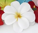 ShineBear 50 Pieces White Artificial Hawaiian Plumeria Frangipani Silk Flowers Wedding Decoration B47 - (Color: White)