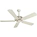 Craftmade K10166 Ceiling Fan with blades included