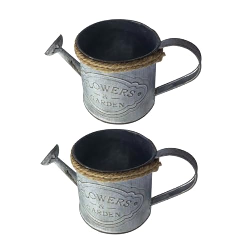 YARNOW 4 Juegos Cubo De Hierro Ganchos para Colgar Decoración Balde Jardineras De Autorriego Ganchos para Cestas Colgantes Al Aire Libre Regadera De Jardín Exterior Planchar 2 Piezas * 4