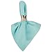 DII Solid Pastel Napkin Set Cotton, Machine Washable, 20x20 Inch, Aqua, 6 Count