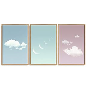 SIGNWIN 3 Piece Framed Canvas Wall Art Flower...