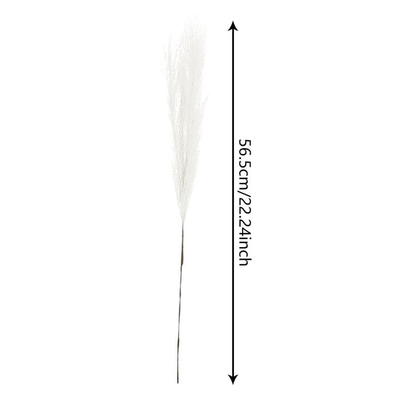 Pampas Grass Large Fall Pampas Grass Decor miniatura 7