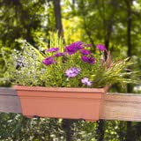 18IN. Countryside Window Box - Terra Cotta