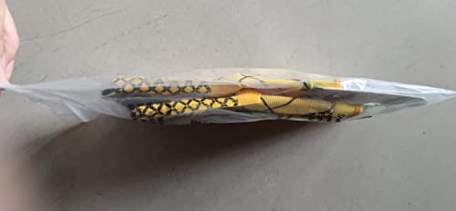 Seibertron PRO 3.0 12 costellazioni Elite