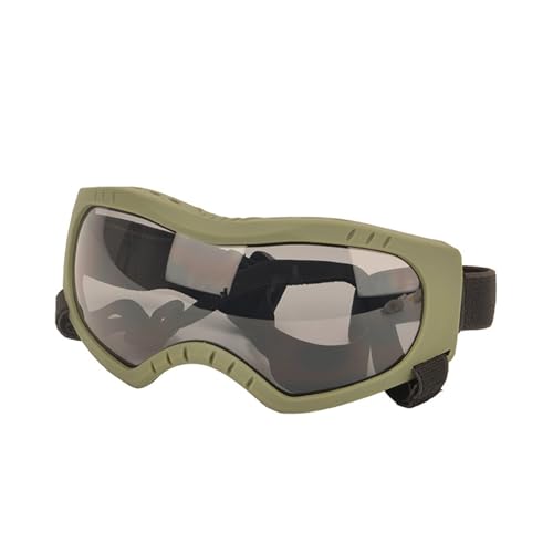 hTOX^^ɓKybgKlXm[r[`AEghAXm[X|[cACEFAybgpی상Kl