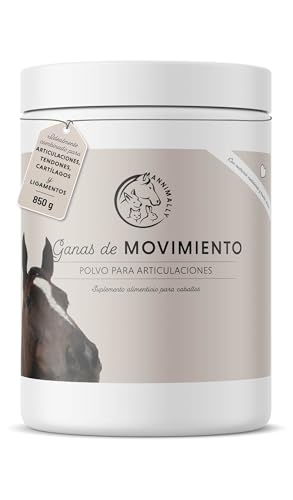 Annimally Polvo para articulaciones de Caballos 850g con Garra del Diablo, MSM Caballos (azufre), glucosamina Caballo, Acido hialurónico, condroitina - Complemento alimenticio Caballos