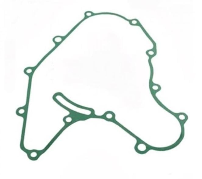 Guarnizione Carter Statore per KTM DUKE 125 (2011-2016)