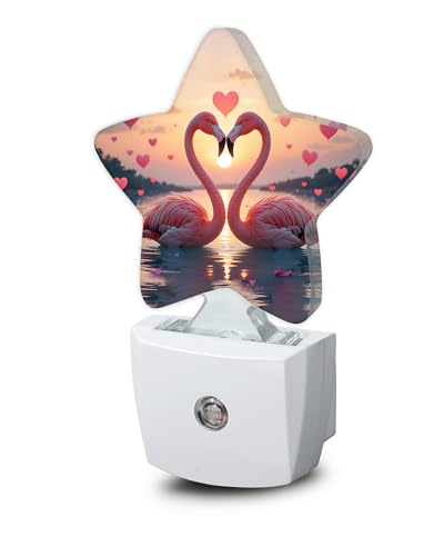 Image of Beach Flamingos Night Lights Plug Into Wall,Romantic Love Heart Star Night Light for Kids,Nightlight with Dusk to Dawn Smart Sensor for Bedroom Bathroom Decor,Children Women Men Gift