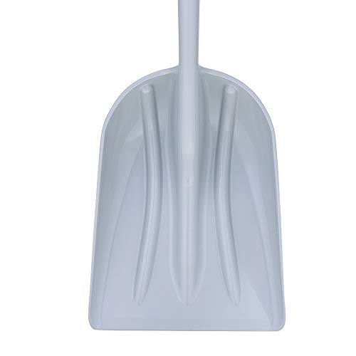 Poly Scoop AMES con mango de madera y D-grip miniatura 2