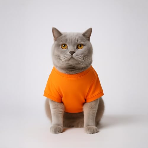 Image of Thunder Tails Printed Cat T-Shirt for Small to Large Cats & Kittens | Lightweight Breathable Cotton Pet Apparel | Cute & Stylish, Comfortable Round Neck Cat Clothes (S, Orange)