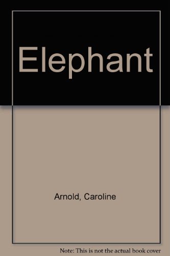 Elephant view 2