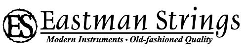 Andreas Eastman Vl305 Violin Outfit (1/4) #TOP6