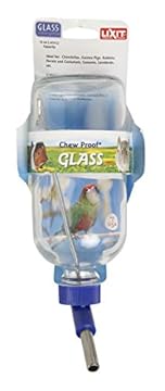 Bird Water Bottle with Perch: Which One Will Keep Your Feathered Friend Happy? 1 bird water bottle with perch