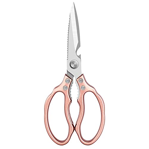 �͂��݁C �ϋv���̍����X�e�����X�|�̌{�͂���(B)