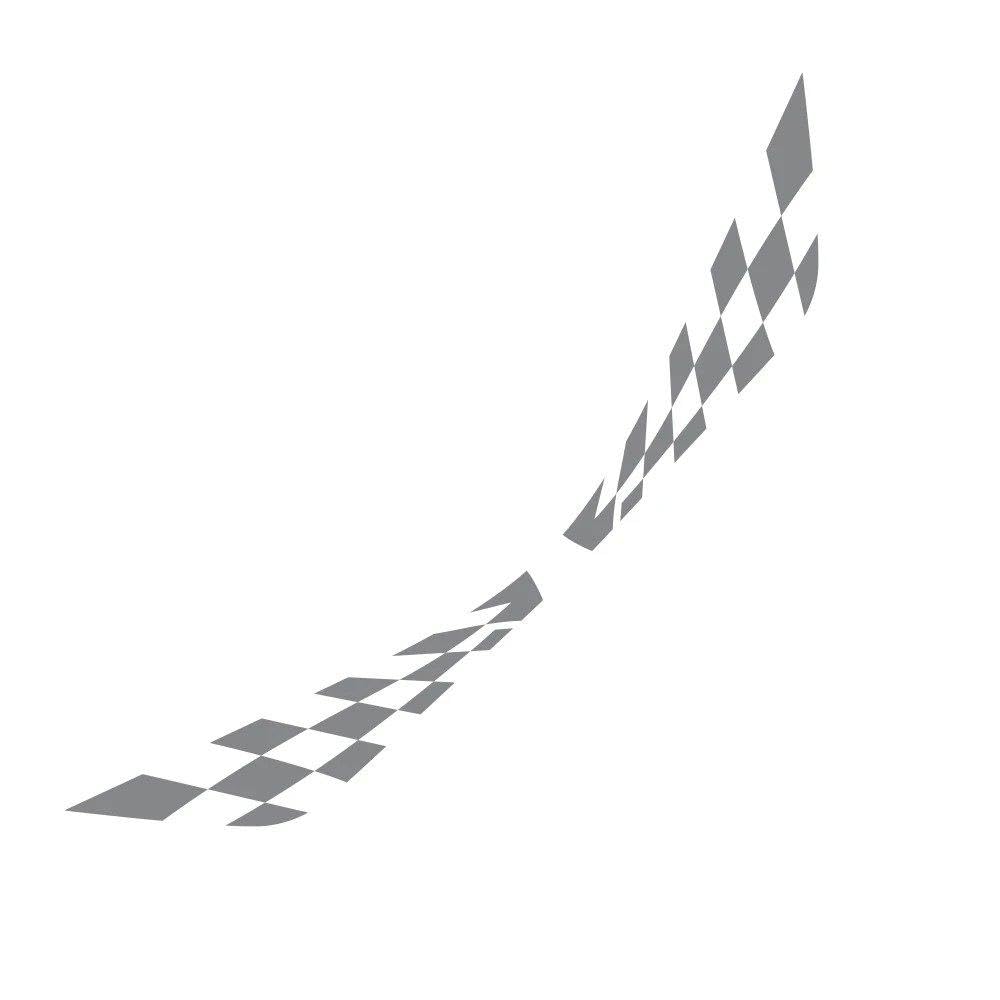 Dabhuoc Glossy Gray 2Pcs Car Door Side Lattice Vinyl Film Stickers Racing Auto Body Decor Decal Accessories(Glossy Gray)