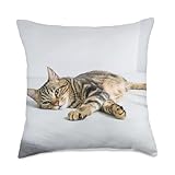 Tabby Cat Throw Pillow