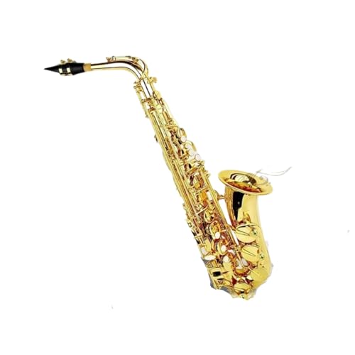 TbNX ^JbJ[S[hEAgTbNXiP[Xƃ}EXs[XANZT[tj؊Ǌy(Gold set)