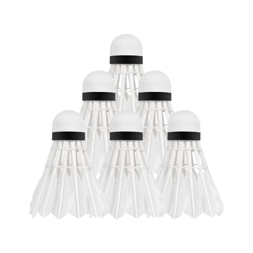 Rebel Volants Plumes pour Badminton en Plume Oie Tube 6pcs RBA-4103