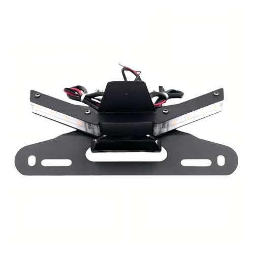 Support de plaque d'immatriculation moto pour affiner l'arrière de Panigale V4