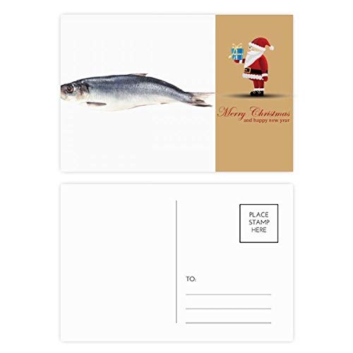 Cartes postales Ocean Fish Père Noël en dentelle pour décorer la table et écrire vos vœux