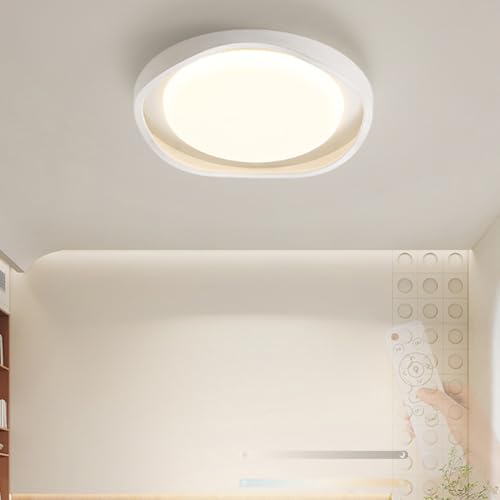 Lámpara de techo de hierro minimalista de 40cm con regulación lumínica de alta gama