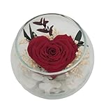 Genérico Rosa Eterna roja Corazon. Rosa Roja Eterna Natural Preservada en Vidrio. Flores Eternas. Regalos Originales para Novia. Madre. San Valentín. Día de la Madre. Aniversario.