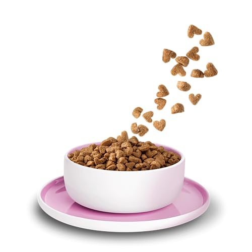 KITTY Cat Huhn Kitten, 800 g, Trockenfutter mit hohem Fleischanteil für Junior Katzen, getreidefreies Katzenfutter mit Taurin und Lachsöl, Made in Germany