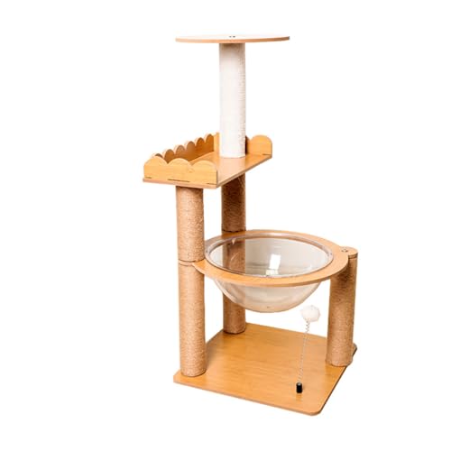 CYWOPVEQ Lbg^[ ^L 芴 ܂Ƃ Lxbh VvLp]{[ ؐ TCU