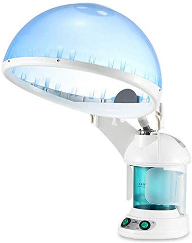 Hair Care 2 In 1 Ionic Ozone Facial And Hair Steamer Home Use Beauty Instrument