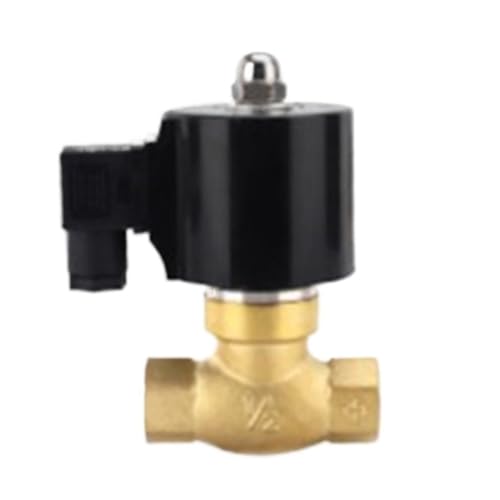 Électrovanne DN25 AC220V normalement fermée pour stopper les fuites d'eau