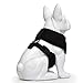 EcoBark Dog Harness - Eco-Friendly Max Comfort Harnesses - Luxurious Soft Mesh Halter - Over The Head Harness Vest- No Pull and No Choke for Puppy, Small Breeds & Medium Dogs (Large, Black)